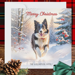 Perro Border Collie En La Nieve Feliz Navidad
