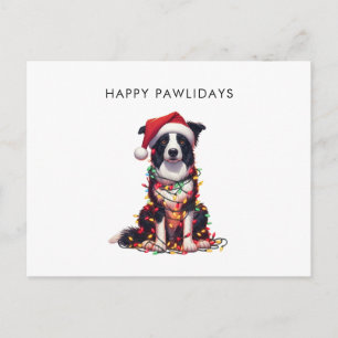 Perro Border Collie Envuelto En Luces De Navidad 