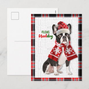 Perro Boston Terrier Pulgas Navidog Navidad