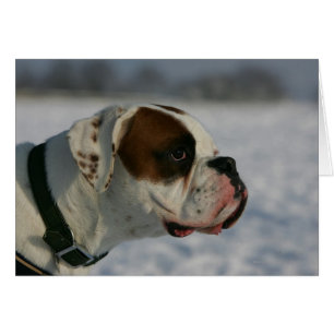 Perro Boxer en la Nieve