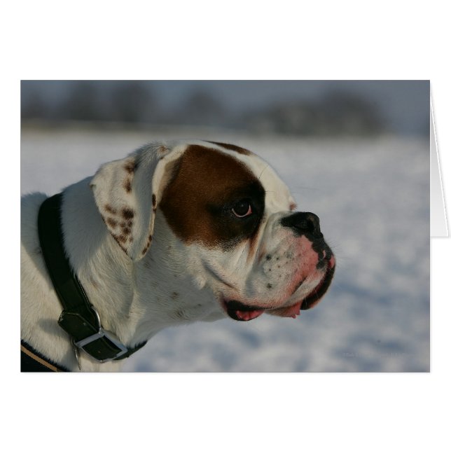 Perro Boxer en la Nieve (Anverso (Horizontal))