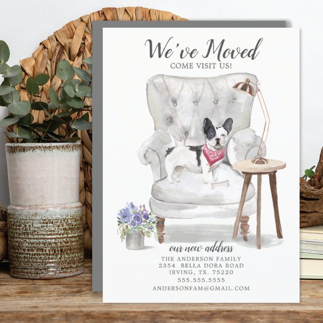 Perro Bulldog francés hemos movido la Invitación (Subido por el creador)