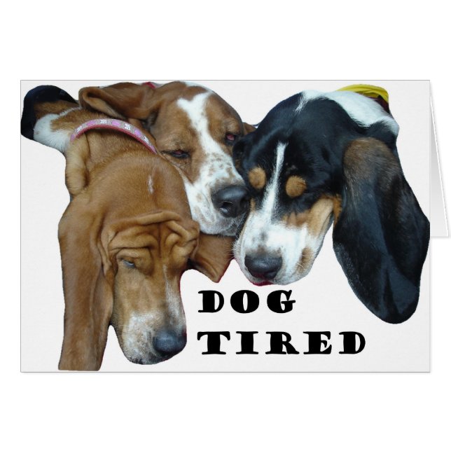 Perro Cansado (Anverso (Horizontal))