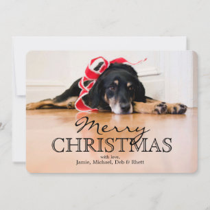 Perro cansado con las cintas del navidad