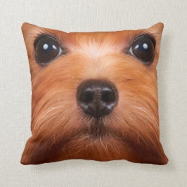 perro casero 34 de la almohada