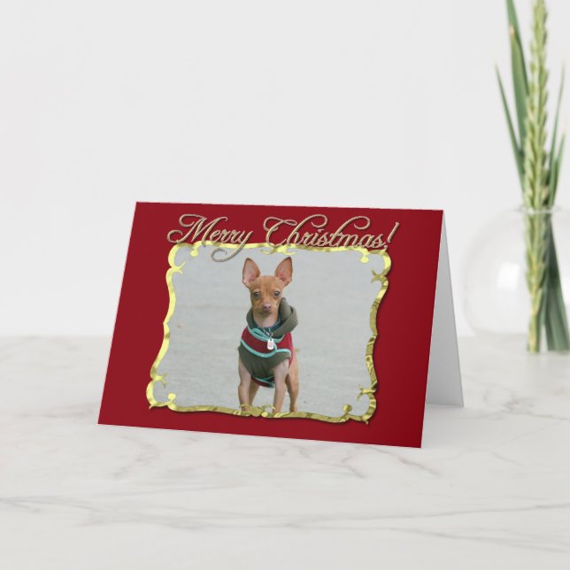 Perro Chihuahua de Feliz Navidad (Anverso)