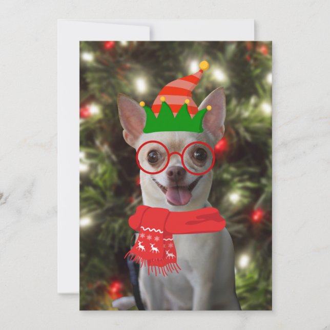 Perro Chihuahua Divertido Mascota Navidad  (Anverso)