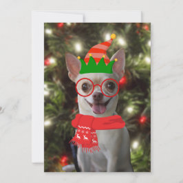 Perro Chihuahua Divertido Mascota Navidad 
