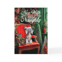 Perro chino crestudo de Navidad travieso o bueno