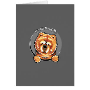Perro chino de perro chino rojo IAAM