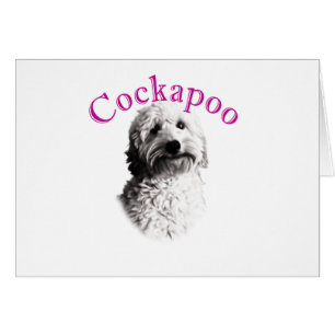 Perro Cockapoo