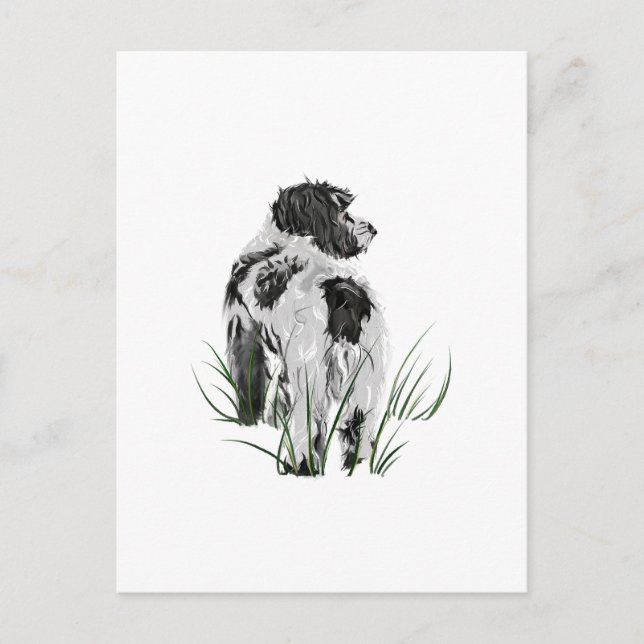 Perro Cockapoo, Tarjeta Postal de Acuarela (Anverso)