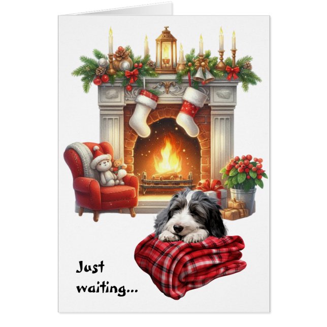 Perro Collie Barbudo Esperando la Navidad (Frente)