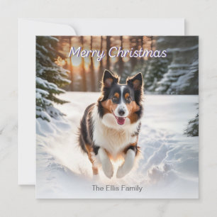 Perro Collie Galés Nieve Acuarela Feliz Navidad