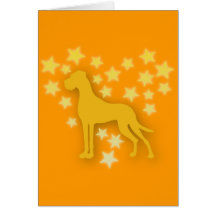 Perro como Estrellas