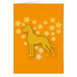 Perro como Estrellas
