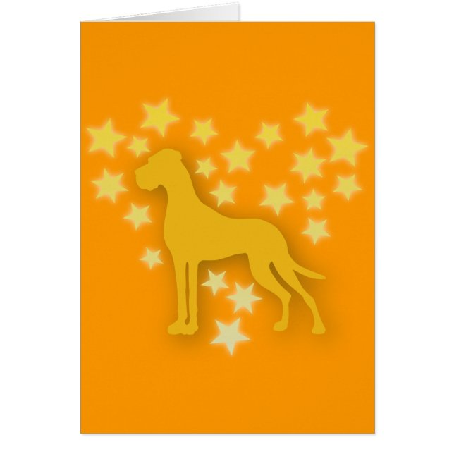 Perro como estrellas (Frente)