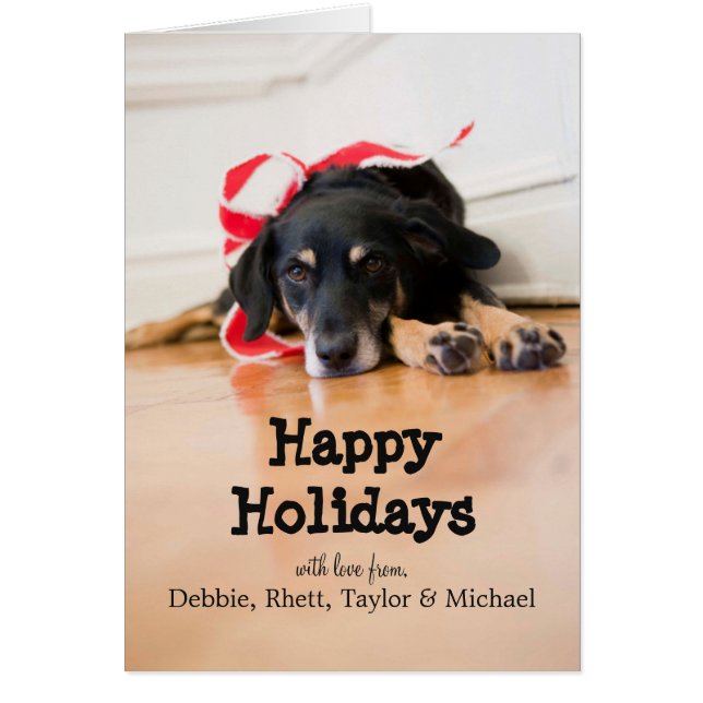 Perro con cintas de Navidades (Frente)