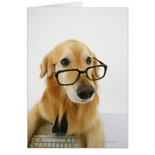 Perro con corbata y gafas sentado en la silla