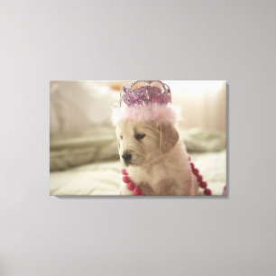 Perro con las decoraciones en cama