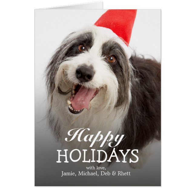 Perro con sombrero Santa (Frente)