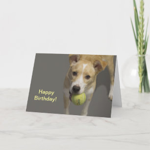 Perro con tarjeta de cumpleaños de pista de tenis
