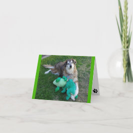 Perro con tarjeta de nota en blanco con ranas