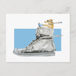 Perro conduciendo una postal para zapatos