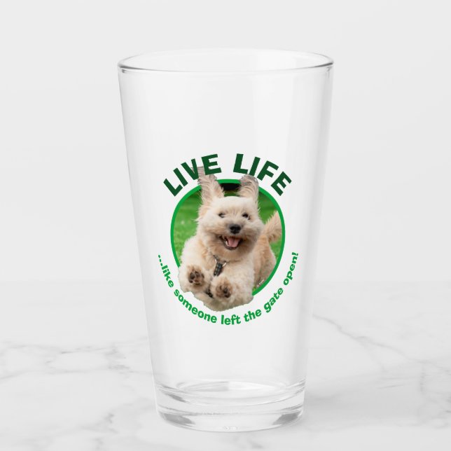 Perro corriendo en el jardín (Anverso)