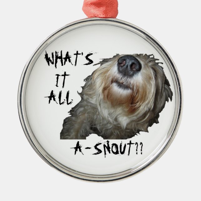 Perro "CUÁL ES ÉL TODO EL A-SNOUT??" Ornamento (Frente)