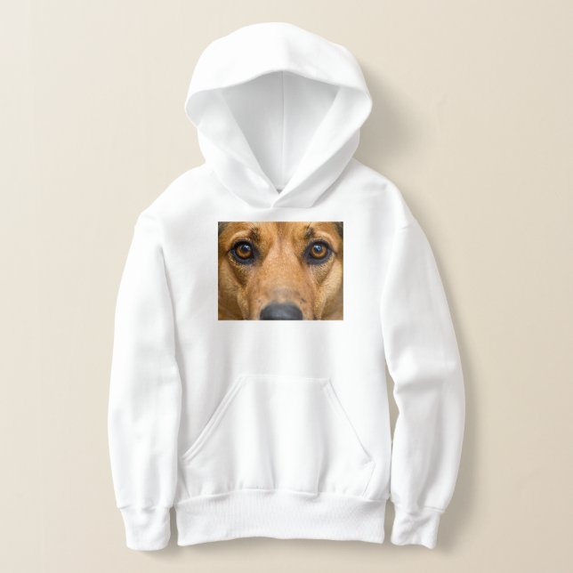 Perro Curioso Mirando (Distribución )