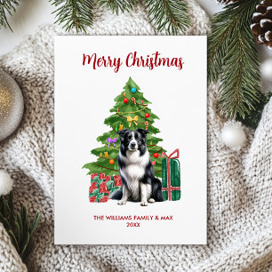 Perro Cute Border Collie Familia Navidad