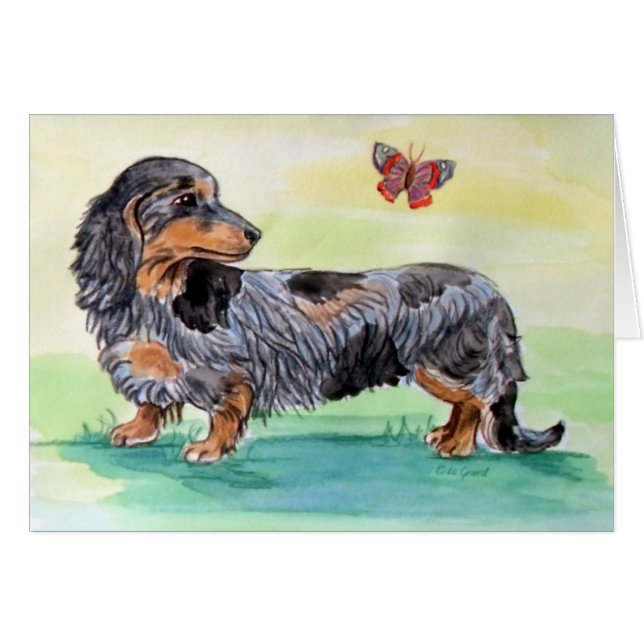 Perro Dachshund Con Mariposa (Anverso (Horizontal))