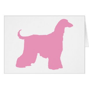 Perro de afgano rosado