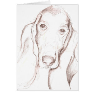 perro de afloramiento