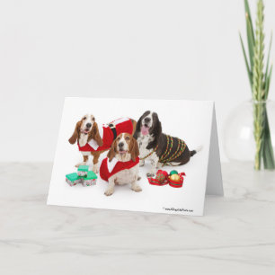 perro de afloramiento del navidad
