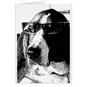 Perro de afloramiento realmente fresco