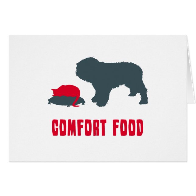 Perro de agua español (Anverso (Horizontal))