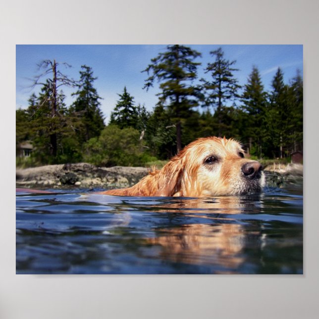 Perro de Agua - Impresiones de Arte Fino (Frente)