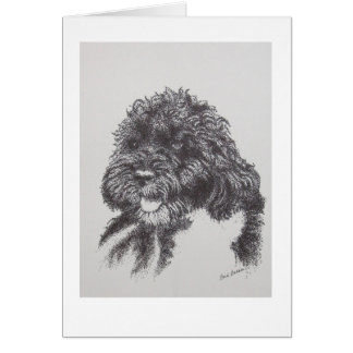 Perro de agua portugués BO Obama