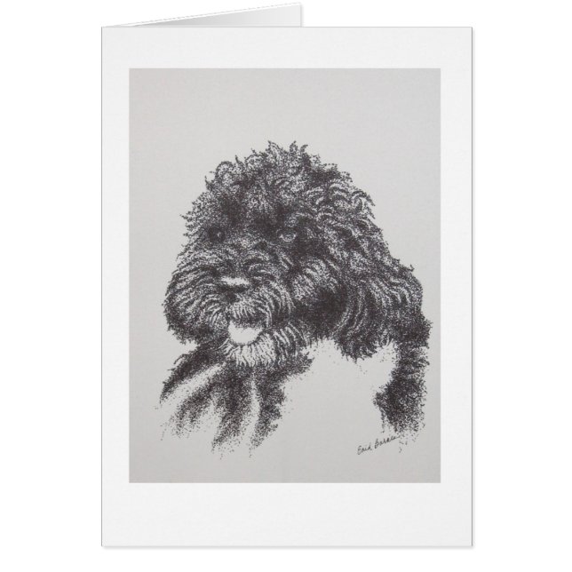 Perro de agua portugués BO Obama (Frente)