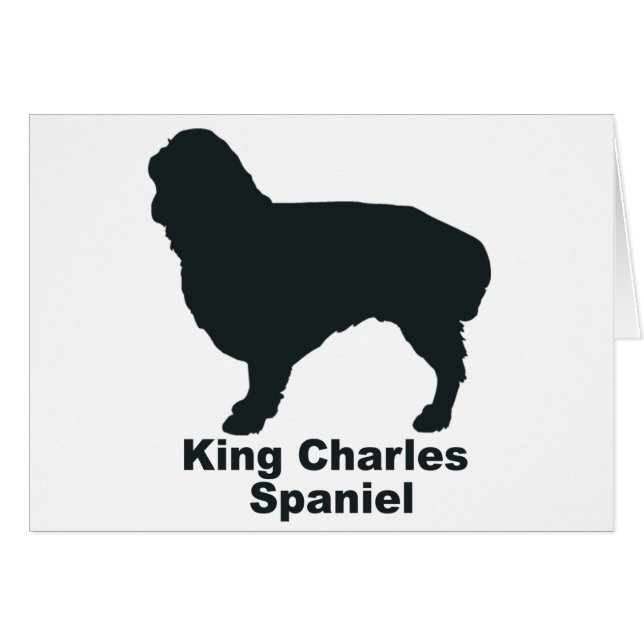 Perro de aguas de rey Charles (Anverso (Horizontal))