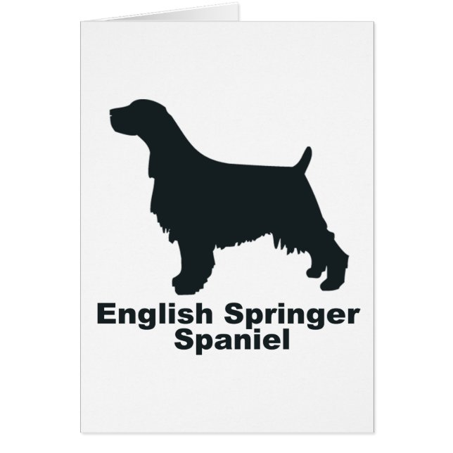 Perro de aguas de saltador inglés (Frente)