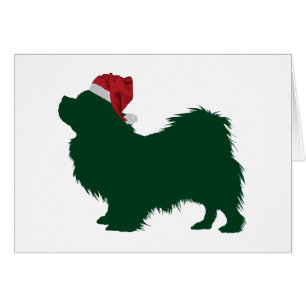 Perro de aguas tibetano