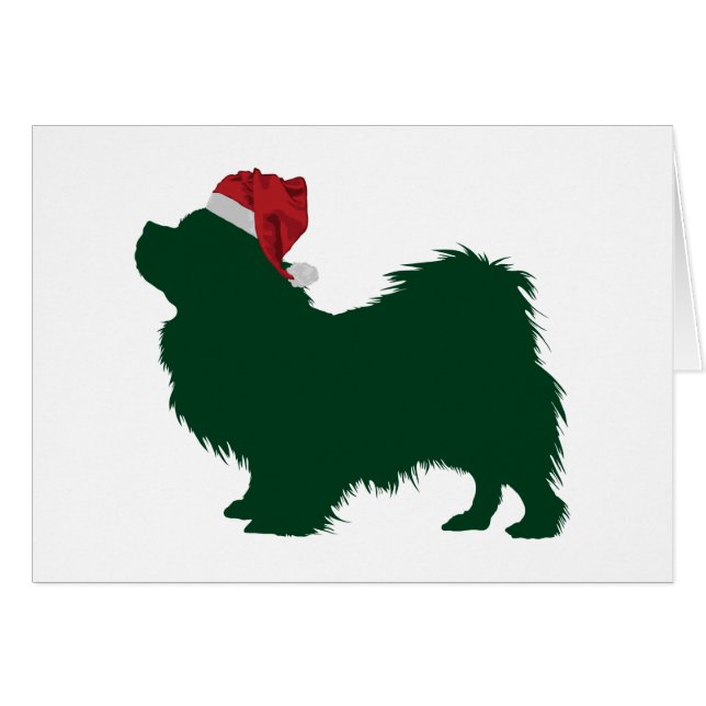 Perro de aguas tibetano (Anverso (Horizontal))