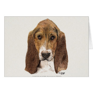 Perro de Basset Hound, acuarela