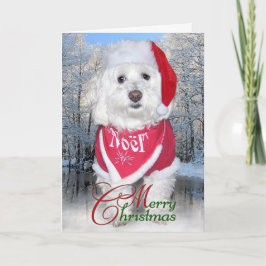 Perro de Bichon Frise del navidad