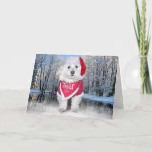 Perro de Bichon Frise del navidad