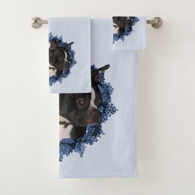 Perro de Boston Terrier  (In situ)