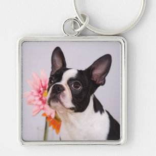 Perro de Boston Terrier con llavero rosado de la